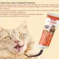 Natural Hairball Control Paste Bio PetActive Catimalt Plus 100ml – PetMedicine.co