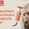 Natural Hairball Control Paste Bio PetActive Catimalt Plus 100ml – PetMedicine.co