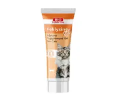 Bio PetActive Feli̇lysi̇ne Gel L Lysine Supplement for Cats 100ml – PetMedicine.co