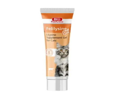 Bio PetActive Feli̇lysi̇ne Gel L Lysine Supplement for Cats 100ml – PetMedicine.co