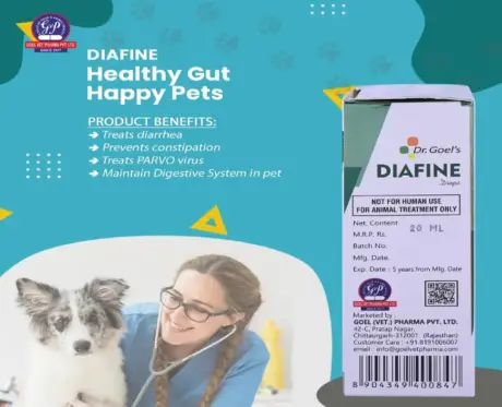 Buy Dr Goel’s DIAFINE Homeopathic Remedy for Diarrhea in Pets – PetMedicine.co