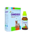 Dr Goel’s CANDISGO for Dogs & Cats – Homeopathic Distemper Remedy | PetMedicine.co