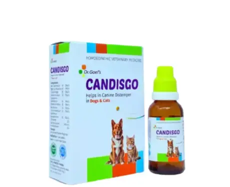 Dr Goel’s CANDISGO for Dogs & Cats – Homeopathic Distemper Remedy | PetMedicine.co