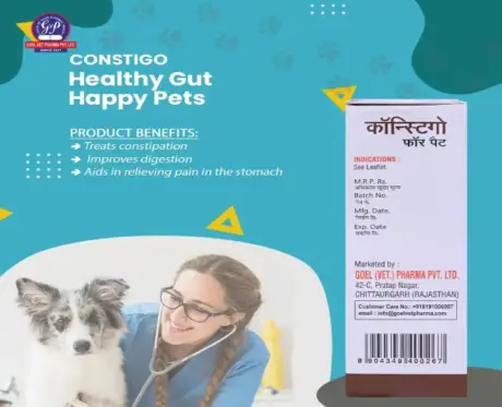Dr Goel’s CONSTIGO 30ml for dogs and cats digestive relief – PetMedicine.co