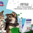 CRETIGO Homeopathic Remedy for Renal Impairment in Pets – PetMedicine.co