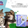 Buy CYSTIGO Homeopathic Remedy for Urinary Problems | PetMedicine.co