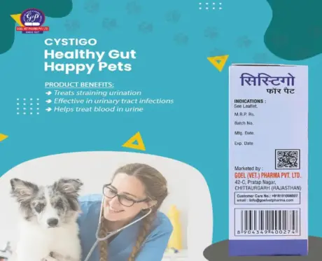 Buy CYSTIGO Homeopathic Remedy for Urinary Problems | PetMedicine.co