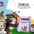 DERMISULE Drops for Eczema, Allergies & Rashes in Pets – PetMedicine.co