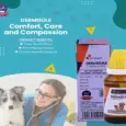 DERMISULE Drops for Eczema, Allergies & Rashes in Pets – PetMedicine.co
