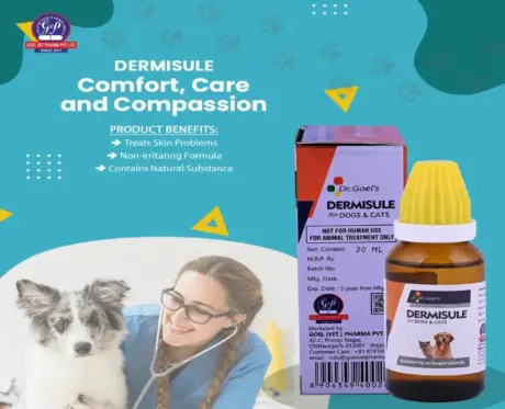 DERMISULE Drops for Eczema, Allergies & Rashes in Pets – PetMedicine.co