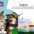 DIABOSYZ Homeopathic Diabetes Drops for Pets – PetMedicine.co