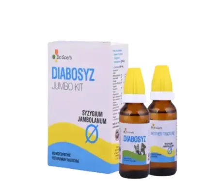 Dr Goel’s DIABOSYZ Jumbo Kit Drops for Dogs & Cats 30ml – PetMedicine.co