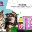 INFLASULE Homeopathic Drops for Dogs & Cats with Joint Swelling – PetMedicine.co