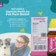INFLASULE Homeopathic Drops for Dogs & Cats with Joint Swelling – PetMedicine.co