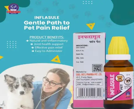INFLASULE Homeopathic Drops for Dogs & Cats with Joint Swelling – PetMedicine.co