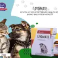 Buy LIVOMATE Homeopathic Liver Drops for Dogs & Cats Online | PetMedicine.co