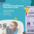 Buy LIVOMATE Homeopathic Liver Drops for Dogs & Cats Online | PetMedicine.co