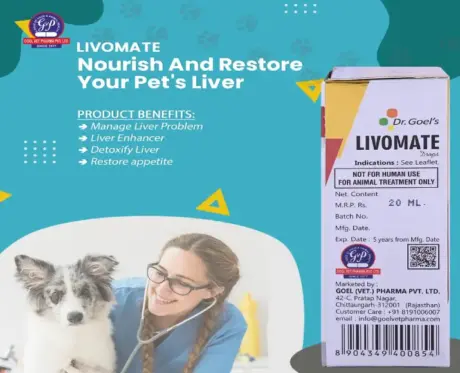 Buy LIVOMATE Homeopathic Liver Drops for Dogs & Cats Online | PetMedicine.co