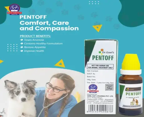 Dr Goel’s PENTOFF Drops for Digestive Relief in Pets – PetMedicine.co