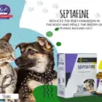Buy Dr Goel’s SEPTAFINE Drops for Pets 30ml – PetMedicine.co