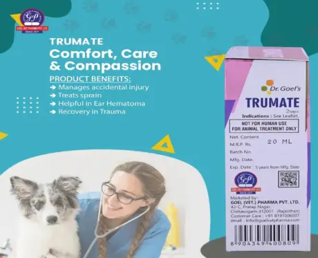 TRUMATE Homeopathic Pet Drops 20ml for Energy & Recovery | PetMedicine.co