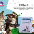 Buy UTEROMATE Drops for Pets Online – PetMedicine.co