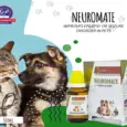 NEUROMATE Homeopathic Drops for Dogs & Cats 30ml – PetMedicine.co