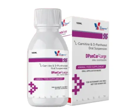 Drools DpanCar Large for Dogs and Cats 100ml Digestive Support – PetMedicine.co