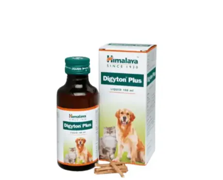 Himalaya Digyton Plus Syrup for Dogs and Cats 100ml – PetMedicine.co