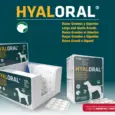 Hyaloral Large and Giant Breeds Tablets for Joint Health | PetMedicine.co