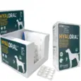 Hyaloral Large Tablets for Dogs Joint Care | PetMedicine.co