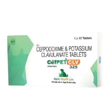 Buy Intas Cefpet CLV 325 Antibiotic Tablets Online from PetMedicine.co