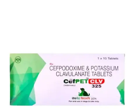 Intas Cefpet CLV 325 Tablets for Dogs and Cats at PetMedicine.co