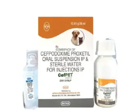 Intas Cefpet Dry Syrup for Dogs and Cats 30ml | PetMedicine.co