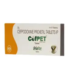 Intas Cefpet Tablet 100 MG for Dogs 10 Tablets – PetMedicine.co