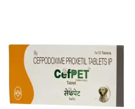 Intas Cefpet Tablet 100 MG for Dogs 10 Tablets – PetMedicine.co