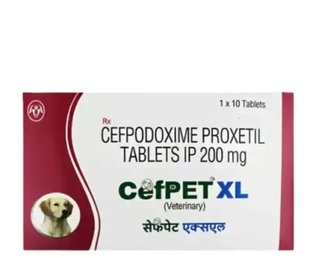 Intas Cefpet XL 200 MG Tablets for Dogs antibiotic treatment PetMedicine.co