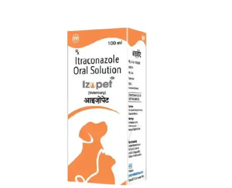 Intas Izopet Itraconazole Syrup 100ml for Dogs and Cats – PetMedicine.co
