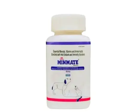 Intas Minmate Tablets for Dogs and Cats 30 Tabs – PetMedicine.co