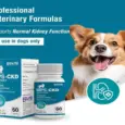 Buy MPS Ecora CKD Support for Dogs Kidney Care Capsules Online | PetMedicine.co