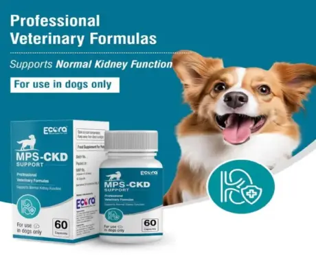Buy MPS Ecora CKD Support for Dogs Kidney Care Capsules Online | PetMedicine.co