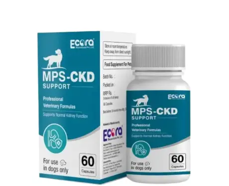 MPS Ecora CKD Support for Dogs 60 Capsules Kidney Health Supplement | PetMedicine.co