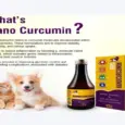 Buy MPS Nanocurcumin Syrup for Dogs and Cats Online | PetMedicine.co