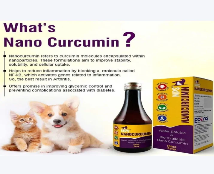 Buy MPS Nanocurcumin Syrup for Dogs and Cats Online | PetMedicine.co
