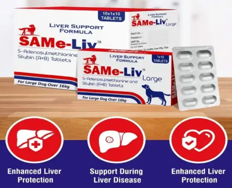 Buy MPS SameLiv Large for Dogs Online | PetMedicine.co