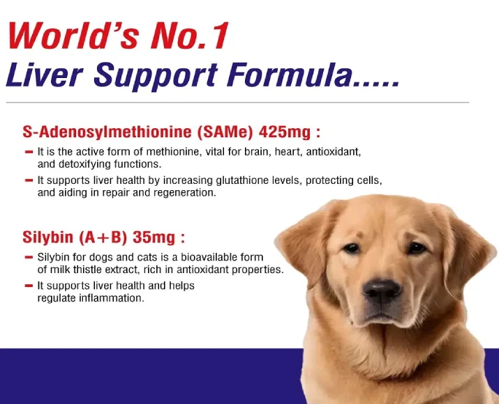 Buy MPS SameLiv Large for Dogs Online | PetMedicine.co