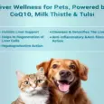 Buy Natural Remedies HepNSure Liver Health Supplement for Pets | PetMedicine.co