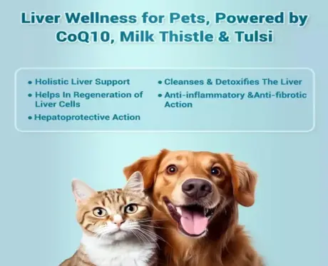 Buy Natural Remedies HepNSure Liver Health Supplement for Pets | PetMedicine.co