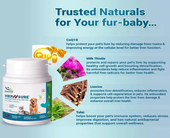 Buy Natural Remedies HepNSure Liver Health Supplement for Pets | PetMedicine.co