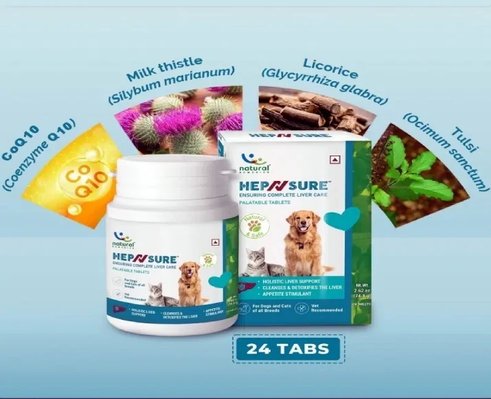 Buy Natural Remedies HepNSure Liver Health Supplement for Pets | PetMedicine.co
